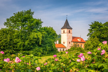 Countryside with chateau Kratochvile, Czech Republic, Europe.