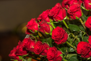 Close up of beautiful dozens of blossoming red roses