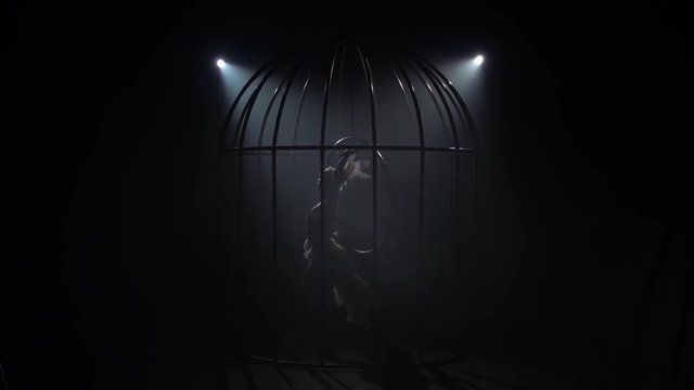 Girl on a scene in a cage performs acrobatics in costume. Black smoke background. Silhouette. Slow motion