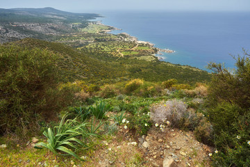 Landscape of Akamas Peninsula National Park