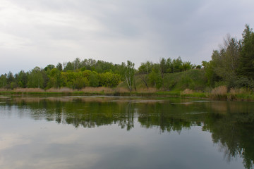Forest lake in the spring