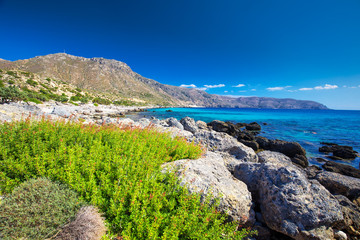 Kedrodasos beach near Elafonissi beach on Crete island with azure clear water, Greece, Europe