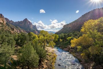 Autumn at Zion National Park and the trees beginning to change colour