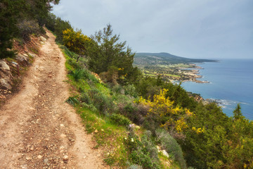 Fototapeta premium Landscape of Akamas Peninsula National Park
