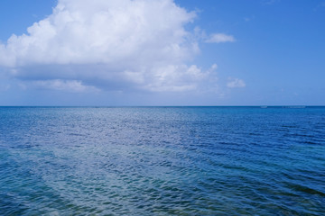 Fototapeta premium sea and blue sky