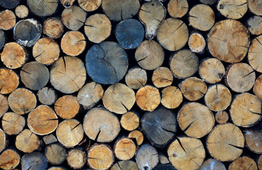 Wood cut background. Chopped firewood logs wallpaper.