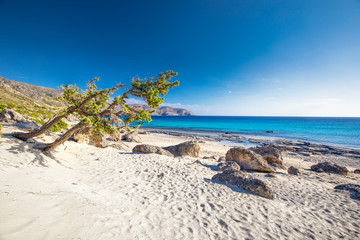 Kedrodasos beach near Elafonissi beach on Crete island with azure clear water, Greece, Europe