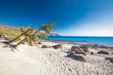 Cercles muraux  Plage d'Elafonissi, Crète, Grèce Kedrodasos beach near Elafonissi beach on Crete island with azure clear water, Greece, Europe