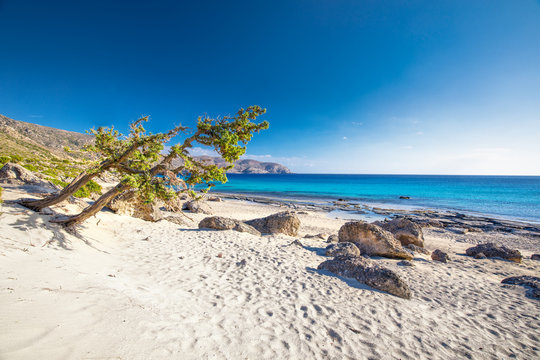 Fototapeta Kedrodasos beach near Elafonissi beach on Crete island with azure clear water, Greece, Europe