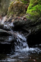 kleiner Wasserfall im Wald