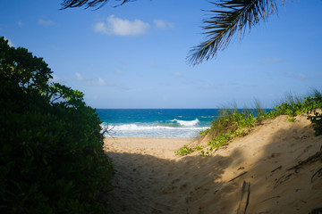 beach in Puerto Rico