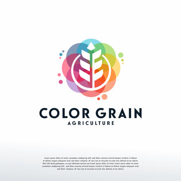 Colorful Wheat logo vector, Grain logo designs template, design concept, logo, logotype element for template