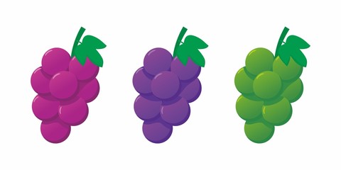 set of grape vector isolated on white background 