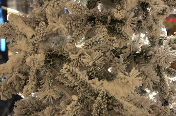 Christmas Time