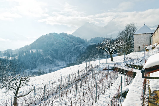 Alpine mountains and Gruyeres Castle at Gruyeres town village winter
