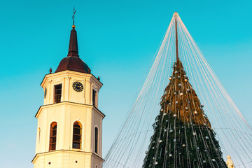 Fototapeta premium Christmas tree in Cathedral square of Vilnius