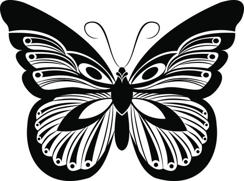 Monarch Butterfly vector art stencil for tattoo or t-shirt print