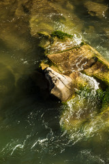 rocky river shrouded in water for the whole frame