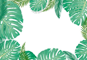 tropical botanical plants, background with leaves of coconut and banana design card jungle leaf on white background - 238456214
