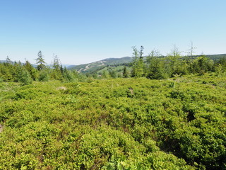 Salmopol pass near Kotarz mount at Silesian Beskids Mountains range landscape in beautiful european Szczyrk city, Poland