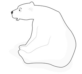 Polar bear 