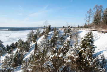 Wooden Path Along The River
