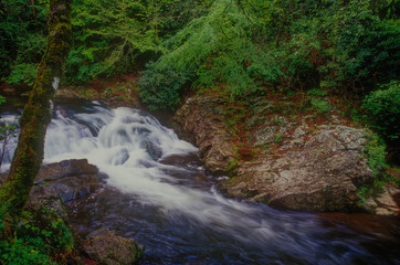 468-63 Small Falls in Spring
