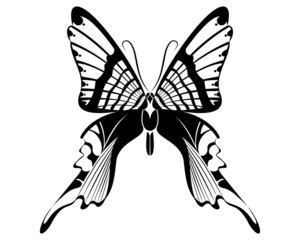 Urania Butterfly vector art stencil for tattoo or t-shirt print
