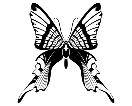 Urania Butterfly vector art stencil for tattoo or t-shirt print