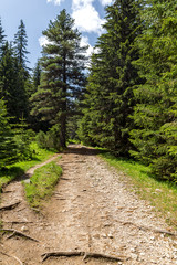 Landscape from hiking trail for Malyovitsa peak, Rila Mountain, Bulgaria