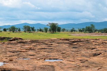 Naklejka premium A dirt road against the Savannah grassland of Tsavo, Kenya 