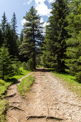 Fototapeta na wymiar Landscape from hiking trail for Malyovitsa peak, Rila Mountain, Bulgaria