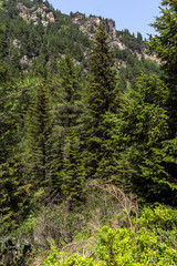 Landscape from hiking trail for Malyovitsa peak, Rila Mountain, Bulgaria