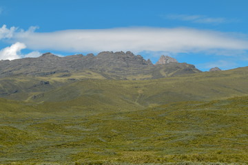 High altitude moorland against a mountain background and blue sky, Mount Kenya National Park, Kenya