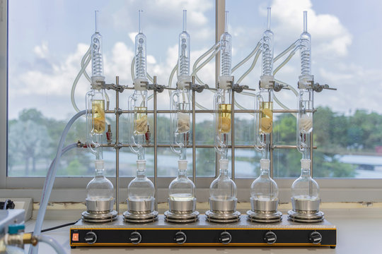 รูปภาพSoxhlet – เลือกดูภาพถ่ายสต็อก เวกเตอร์ และวิดีโอ137 | Adobe Stock