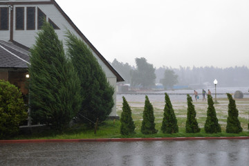heavy rain and wind in the park in Russia