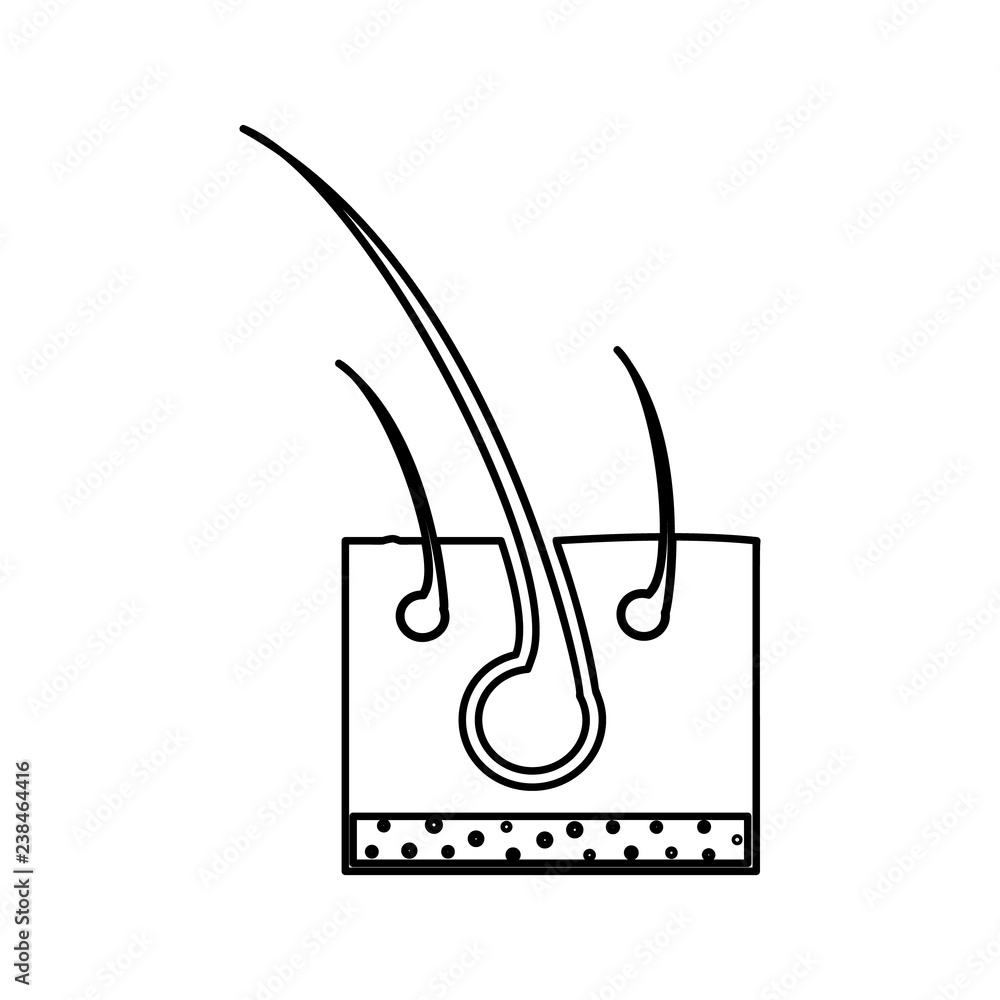 Poster hair icon. element of cyber security for mobile concept and web apps icon. thin line icon for websit