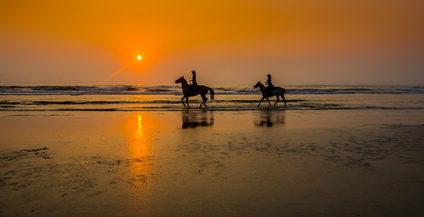 Fototapeta na wymiar Two Horses Walking in the Morning Surf