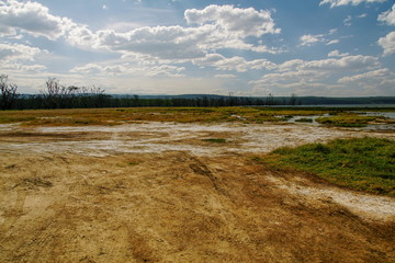 Colorful alage at the shores of Lake Nakuru, Rift Valley, Kenya