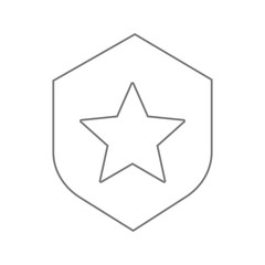 shield star icon. Element of cyber security for mobile concept and web apps icon. Thin line icon for website design and development, app development