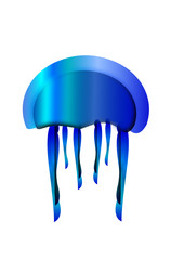 Meduza, błękit, ilustracja, woda © Robert