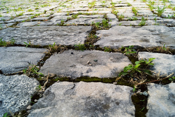 The road of flat stone slabs. Green grass sprouts.
