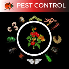 Pest control concept