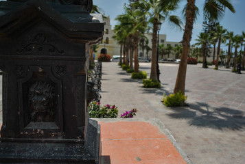 close up of public park in todos santos baja california sur Mexico