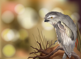 An owl on blurry background