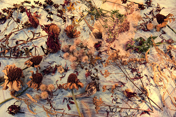 Vintage background with dried seeds, plants and flowers on table. Magic ritual. Wicca, esoteric and...