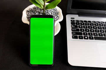 Black office desk with smartphone in green screen, office plant