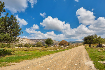 Sunny vanishing footpath among sunny growth on Avakas Gorge slopes.