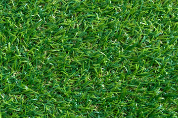 Green grass texture for background. Green lawn pattern and texture. top view.