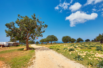 Fototapeta na wymiar beautiful famous Avakas gorge in cyprus